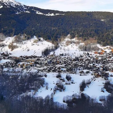 Le Chalet Du Bas Holiday home Les Allues